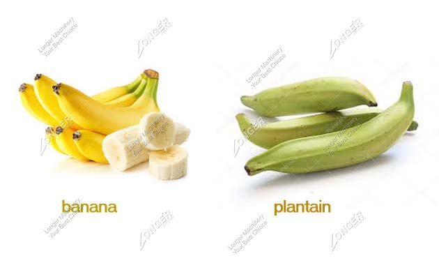 Plantain Slicer Machine Plantain Slicing Machine