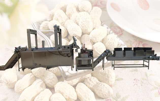 Automatic Peanut Frying Line