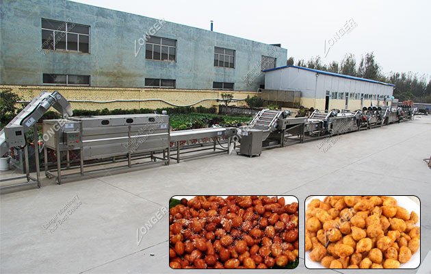 Industrial Fried Peanut Making Plant