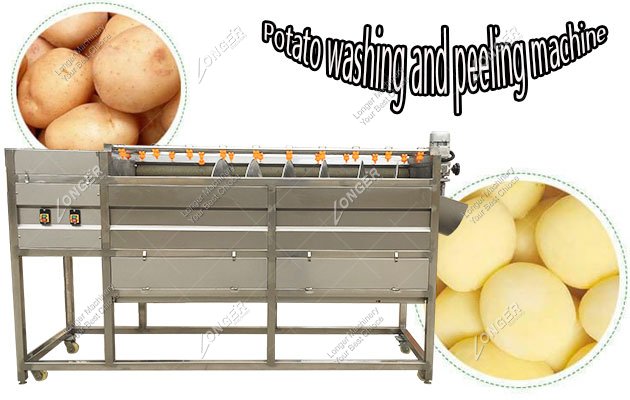 Potato Washing and Peeling Machine